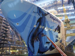 Norwegian Bliss